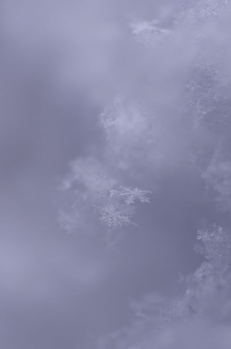 a0105267_21162652.jpg