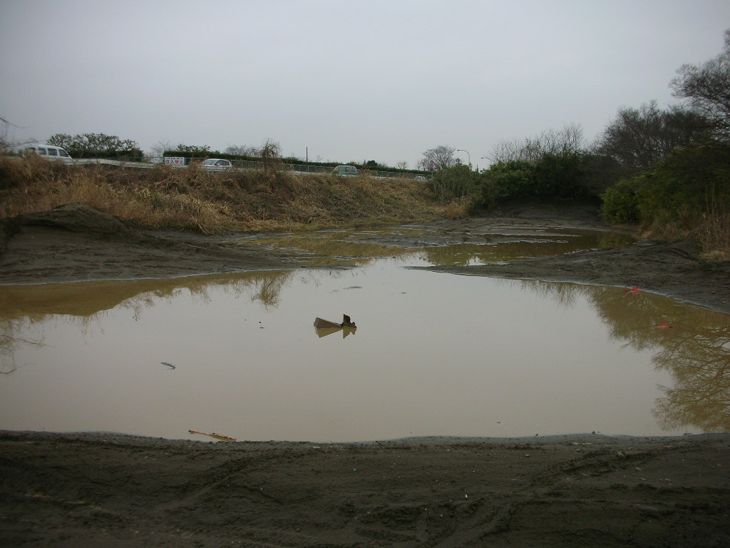 f0186368_1649050.jpg