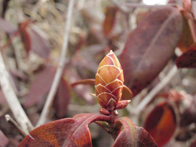 c0042869_13573995.jpg