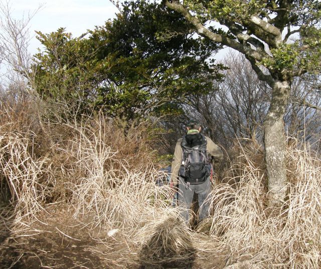 c0042869_140839.jpg