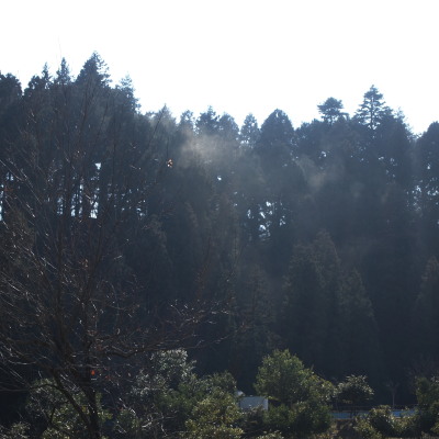 c0122670_2151557.jpg