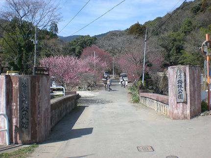 c0222471_2251234.jpg