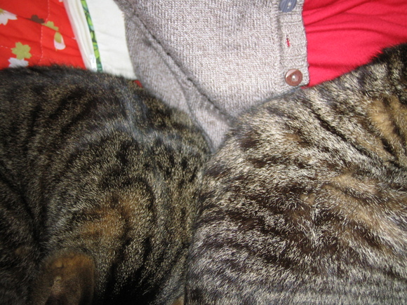 e0031572_179143.jpg