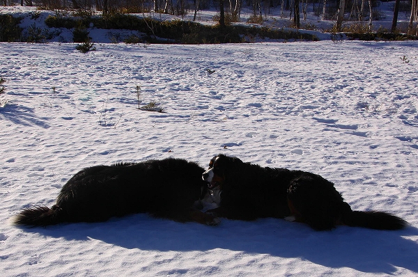 c0149178_2073588.jpg