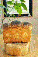 b0094280_15225780.gif