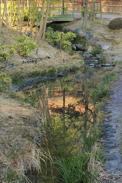 e0051888_2145165.jpg