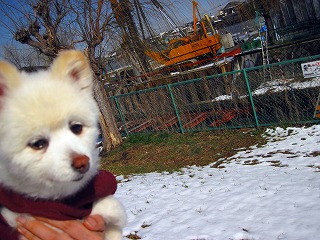 e0121589_011454.jpg