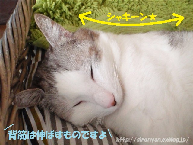 a0159490_12521525.jpg