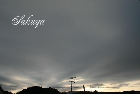 e0122194_02304.jpg