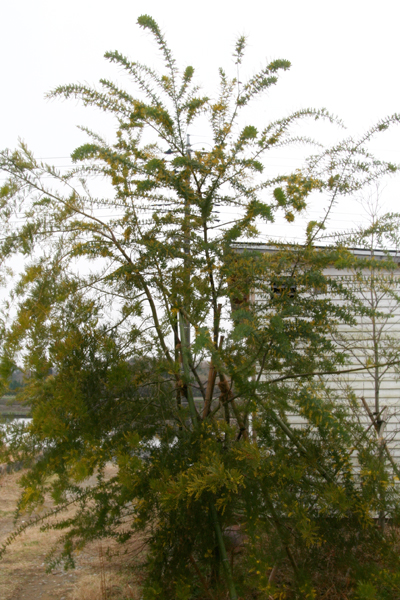 d0100095_13123975.jpg