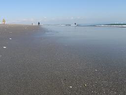 a0125598_2337648.jpg