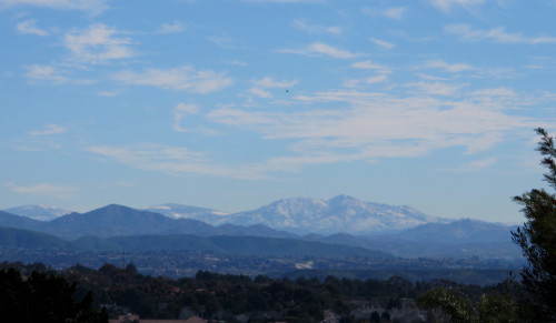a0127398_381847.jpg