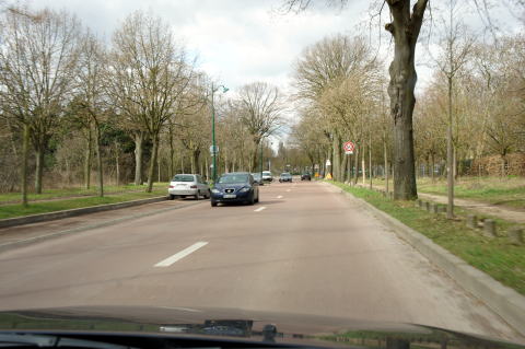 c0090198_3403774.jpg