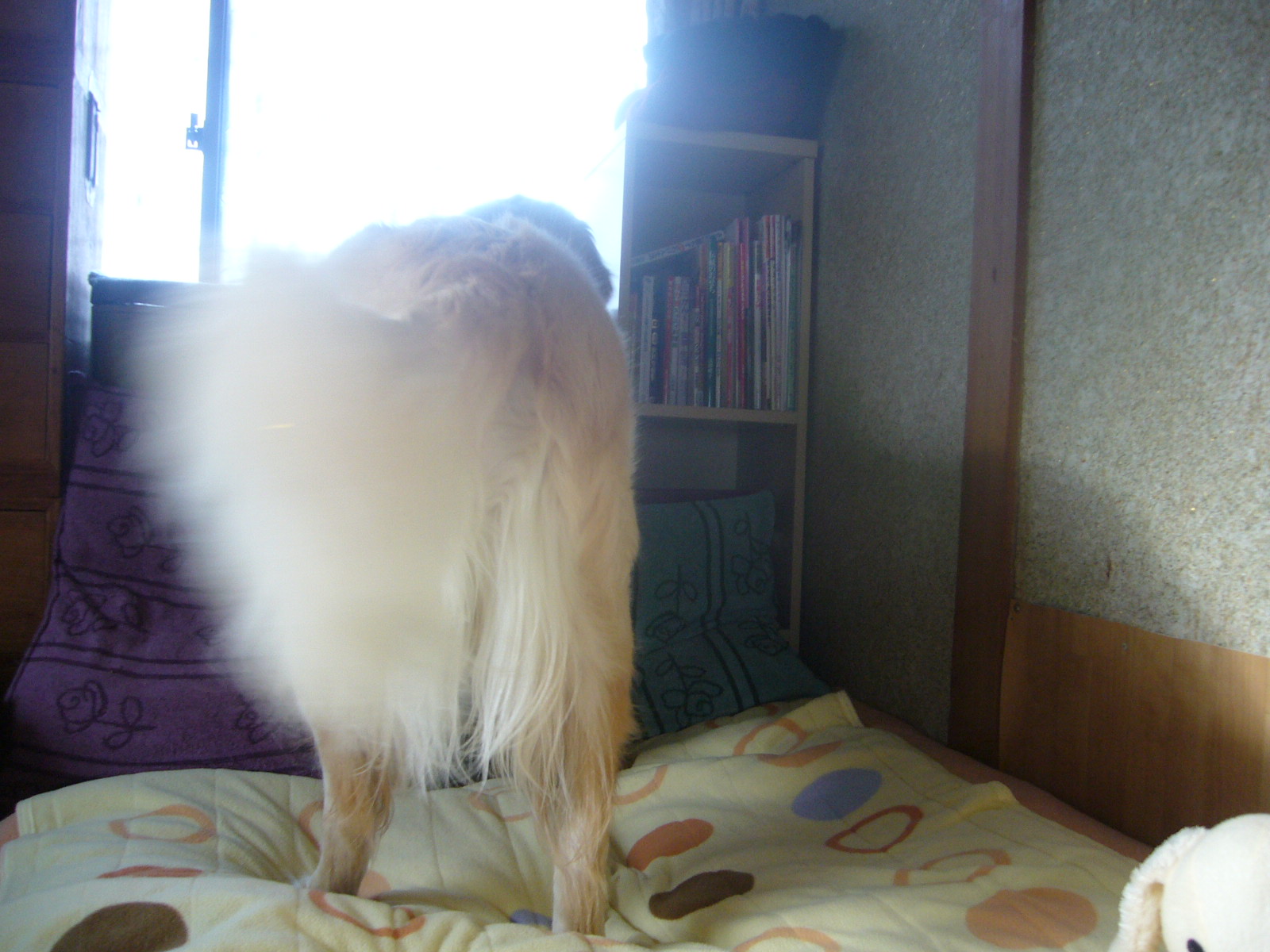 b0206300_15541364.jpg