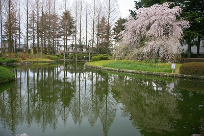 a0188405_1955171.jpg