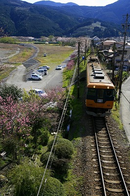 a0188405_19565743.jpg