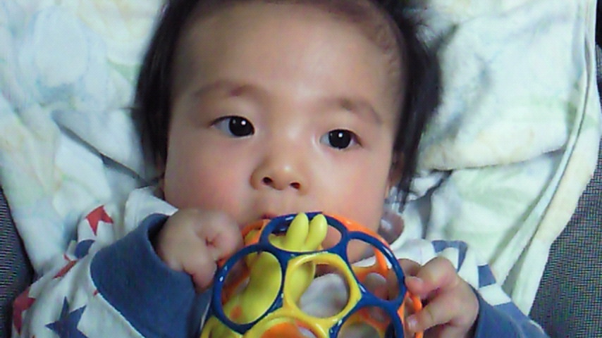 d0149105_1265588.jpg