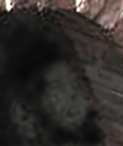 e0103408_16261647.jpg