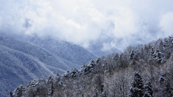 f0233414_22492585.jpg