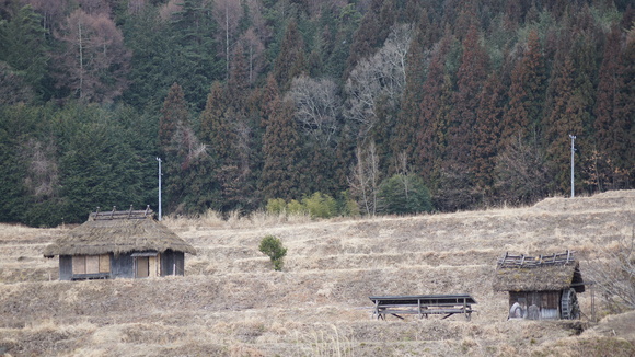 f0233414_225249.jpg
