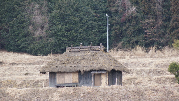 f0233414_2254964.jpg
