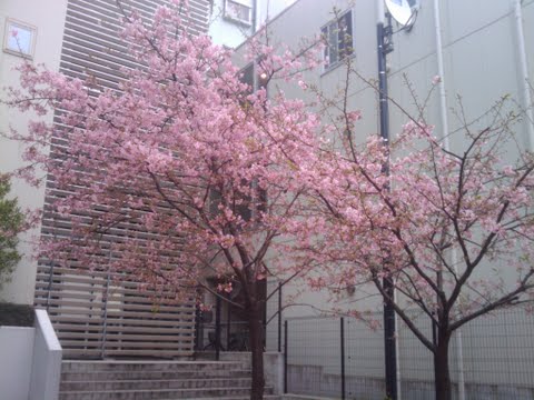 d0119217_0225465.jpg