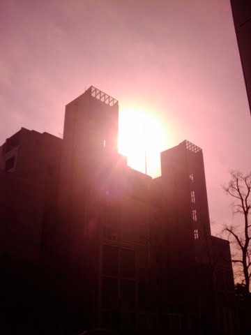 d0119217_023288.jpg