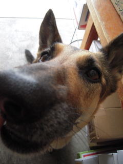 c0090220_1357849.jpg