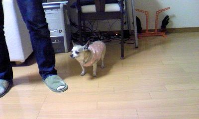 c0150520_21243790.jpg