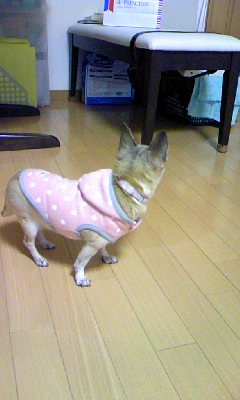 c0150520_21265477.jpg