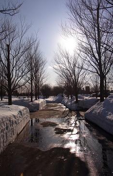 a0070831_816896.jpg