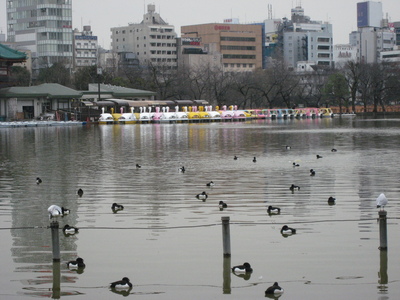 e0137433_110639.jpg