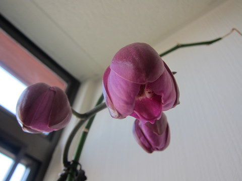 e0018143_172162.jpg