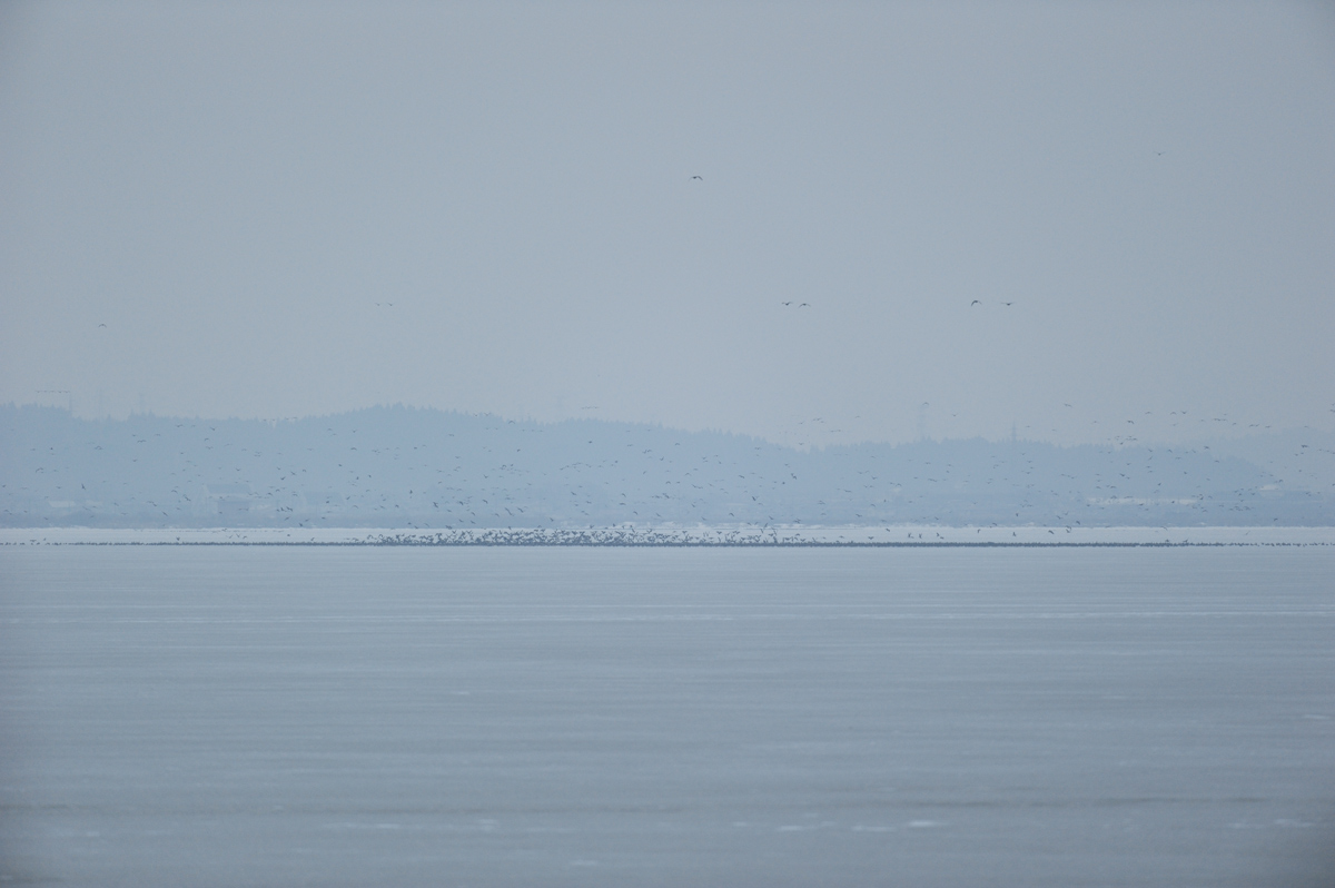 a0039245_22151813.jpg