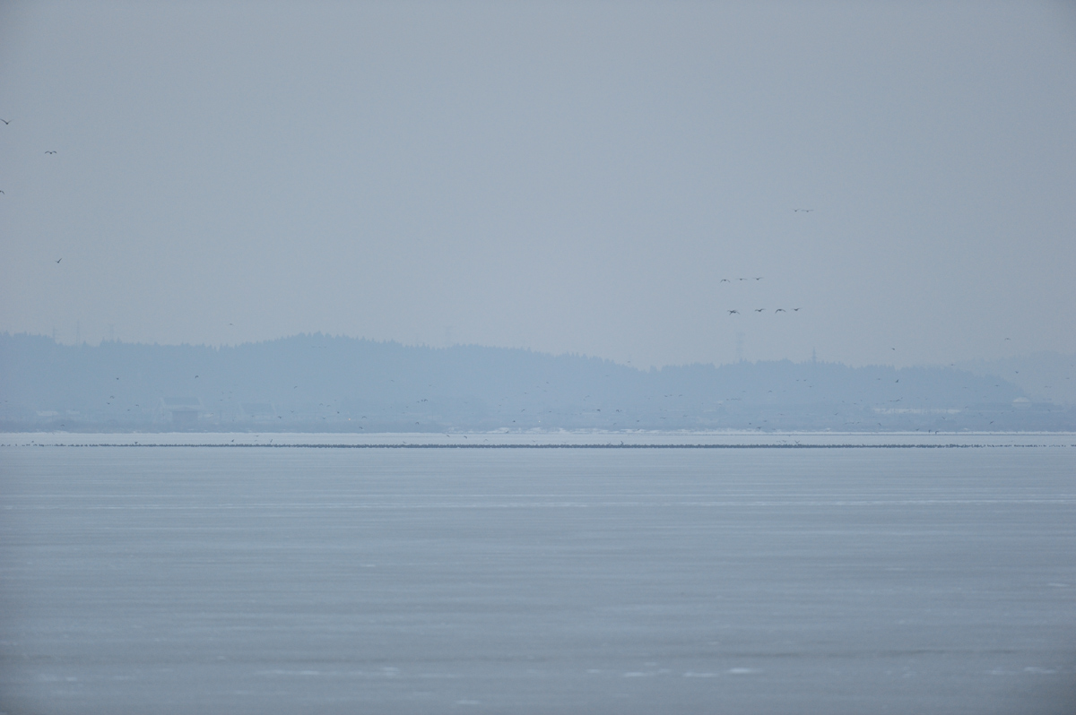 a0039245_2216378.jpg