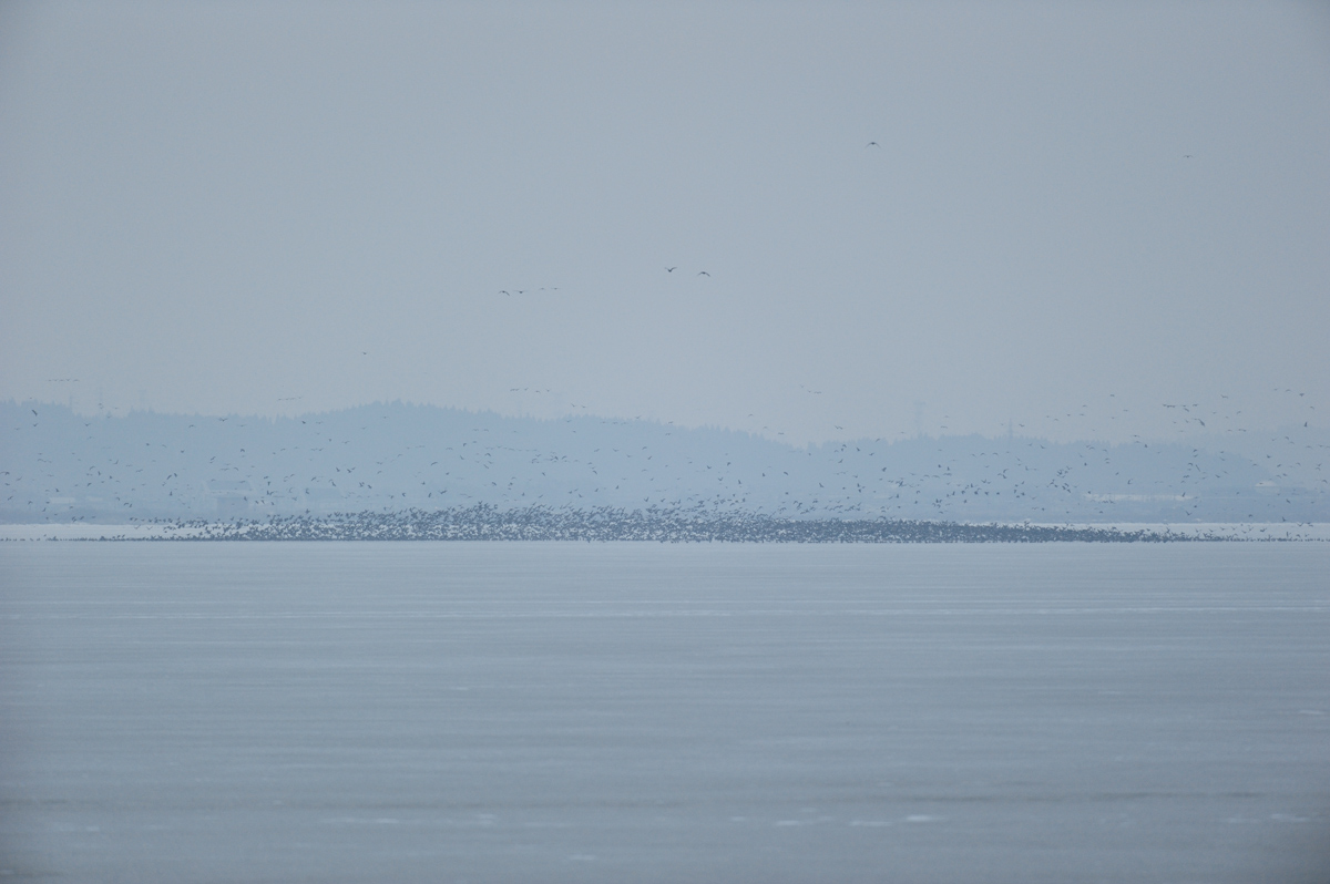 a0039245_22175942.jpg