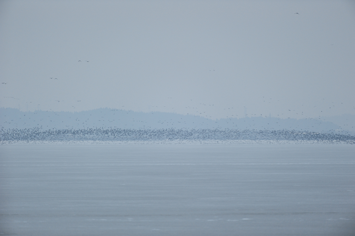 a0039245_22195751.jpg