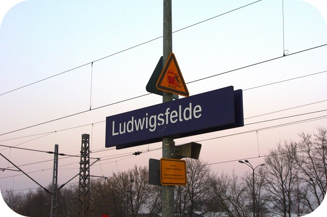 d0169449_455465.jpg