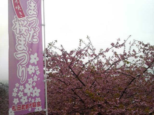 d0138650_182712.jpg