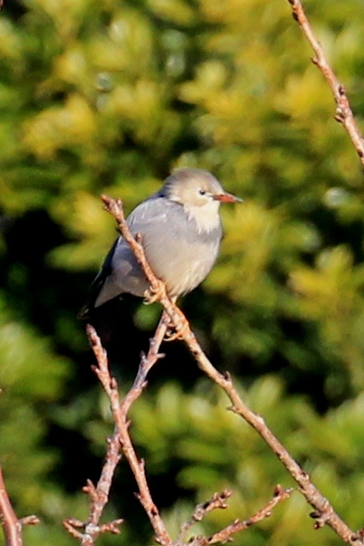c0136654_3234248.jpg
