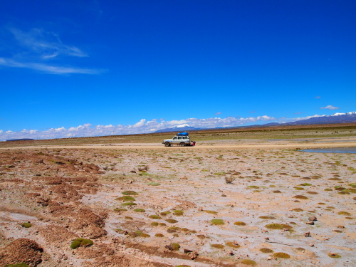 d0171760_330331.jpg