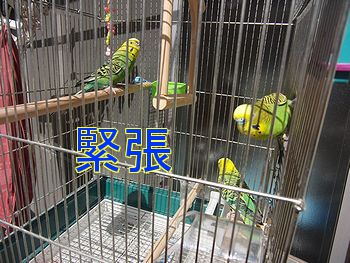 f0196665_23325635.jpg