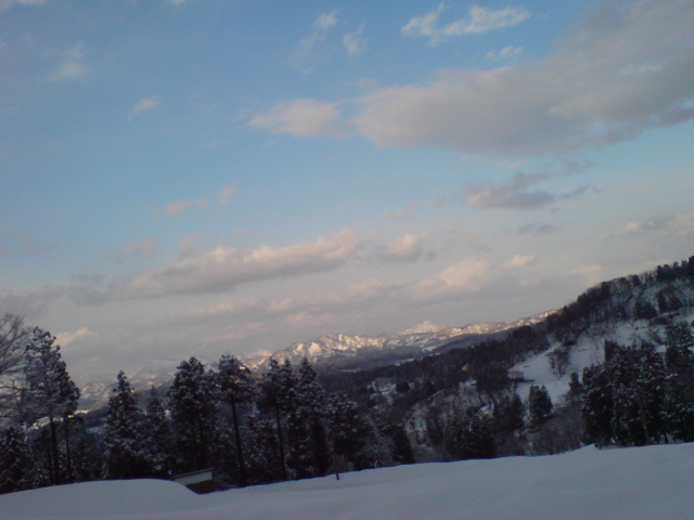 d0182179_1733264.jpg