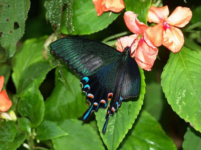f0083281_2248244.jpg