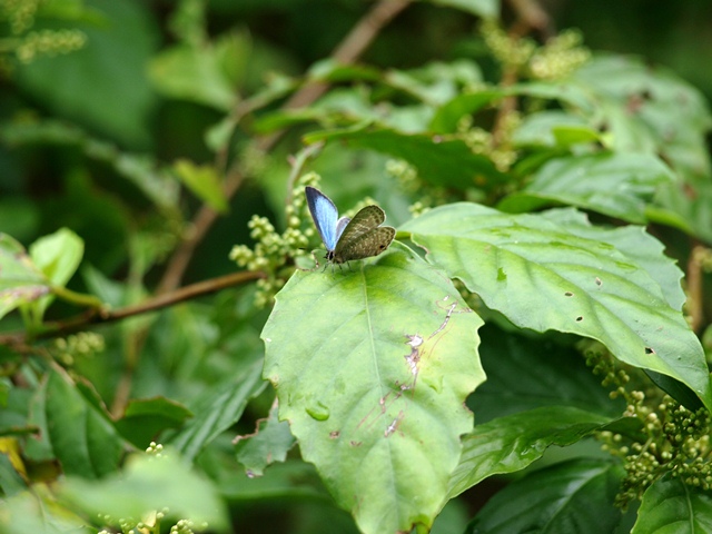 f0083281_236357.jpg