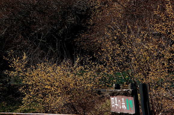 b0203588_20555317.jpg