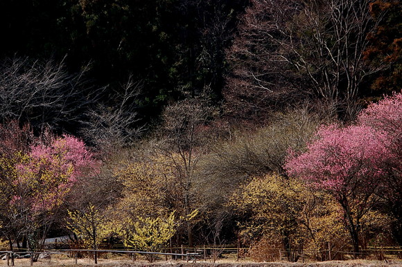 b0203588_2057308.jpg