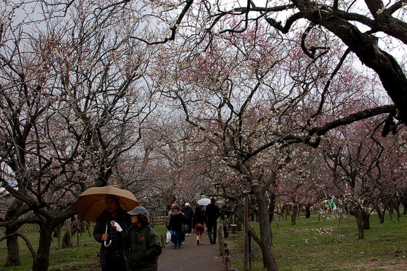 b0203588_2124387.jpg