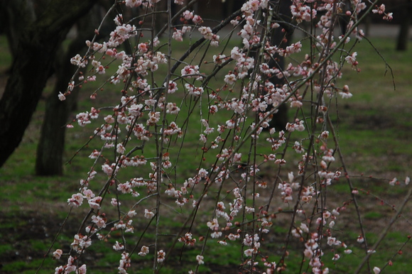 b0203588_21753.jpg