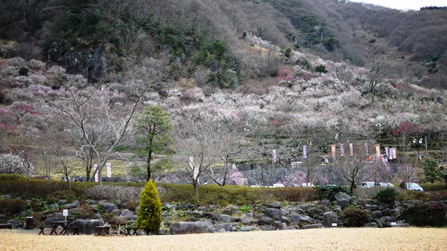 a0127090_16511545.jpg